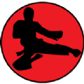Learn Kung Fu Quickly(ѧϰAPP°)V6.0 Ѱ