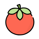 番茄接码快速注册版v2.3.0 安卓版