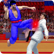 Karate Fighting(2021空手道格斗单机版)v1.9.8 手机版