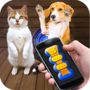 我的猫猫狗狗翻译器v1.8 最新版v1.8 最新版
