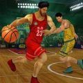 职业篮球超级明星赛去广告版v1.0.9 安卓版