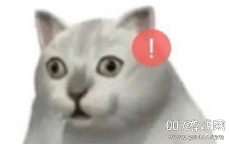 抖音一排猫咪点头gif原图表情包合集2020 免费版