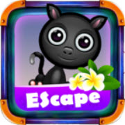 Halloween Black Cat Escape(ʥںè)v0.1 ׿