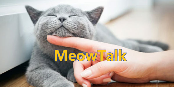 MeowTalk