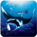 The Manta rays(ģ)v1.0.3 ׿