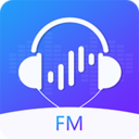 FM(Сmiuiapkȡv3.0.9 ȥ
