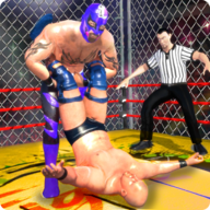Wrestling Cage Championship(摔跤之笼冠军)v2.2 最新版