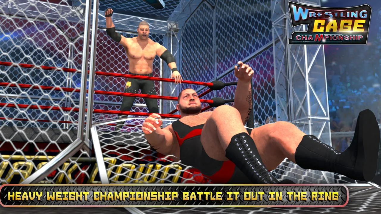 Wrestling Cage Championship(ˤ֮ھ)v2.2 °