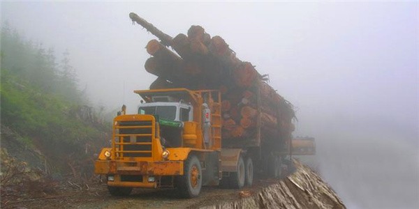 Heavy Logging Cargo Truck Transport SimulatorͿʻģv1.0 ׿