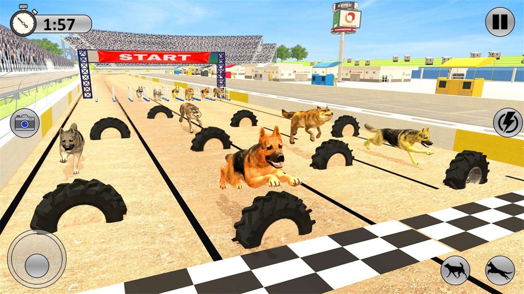 Rival Stars Greyhounds Dog Racing Gamev1.0 ׿