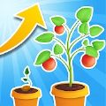 植物冲刺Plant Rushv0.1 安卓版