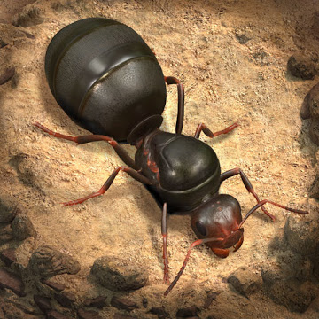 小小蚁国国际服最新版(The Ants)v3.6.1 官方版