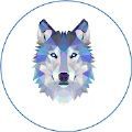 wolf network官方版