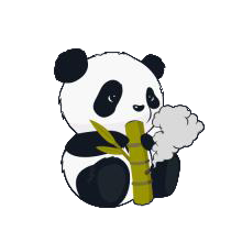 小熊猫内部版2022最新版(国宝框架)