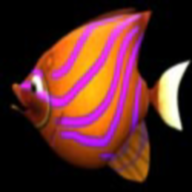 吞食鱼黑鲨安卓版(BigFishEatSmallFish)v1.0 最新版