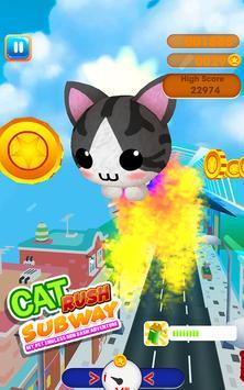 èèϵ(Cat Rush Subway My Pet Endless Run Dash Adventure)v3.0 ٷ