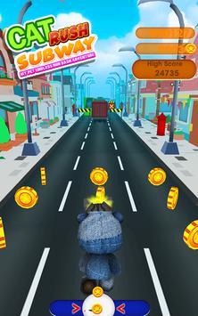 èèϵ(Cat Rush Subway My Pet Endless Run Dash Adventure)v3.0 ٷ