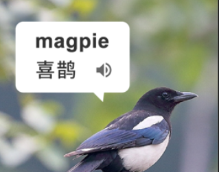 ʵʱapp