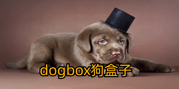 dogbox
