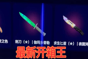 csgoȨƽ̨Щ csgoȨվƼ