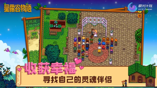 ¶1.5(Stardew Valley)