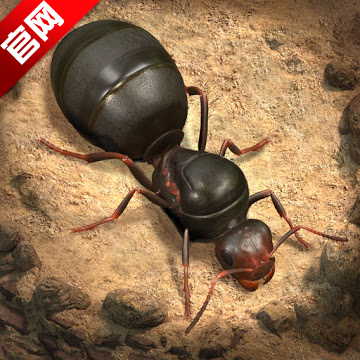ССϹʰٷ(The Ants)v3.37.2 °