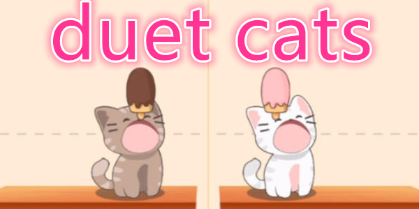 duet cats