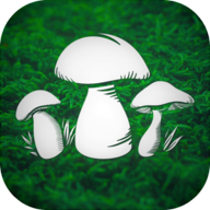 ʵĢģ°(Real Mushroom Hunting)v1.8 ׿