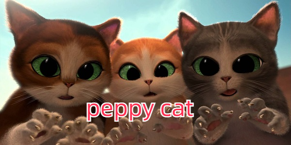 peppy cat