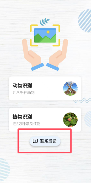 ʶ羫鰮ƻαװ׷app