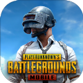 ֱװ(PUBG MOBILE)v3.0.0 ׿