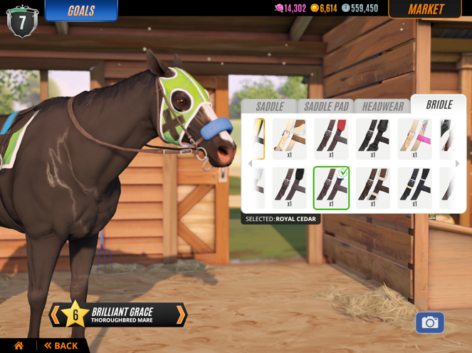 Rival Stars Horse Racingذװv1.49.2 °