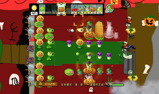 pvzĺ֮