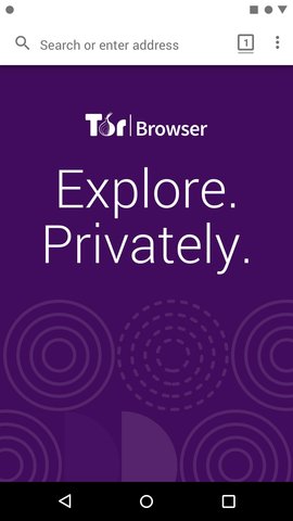 tor browerذ׿(Tor Browser)