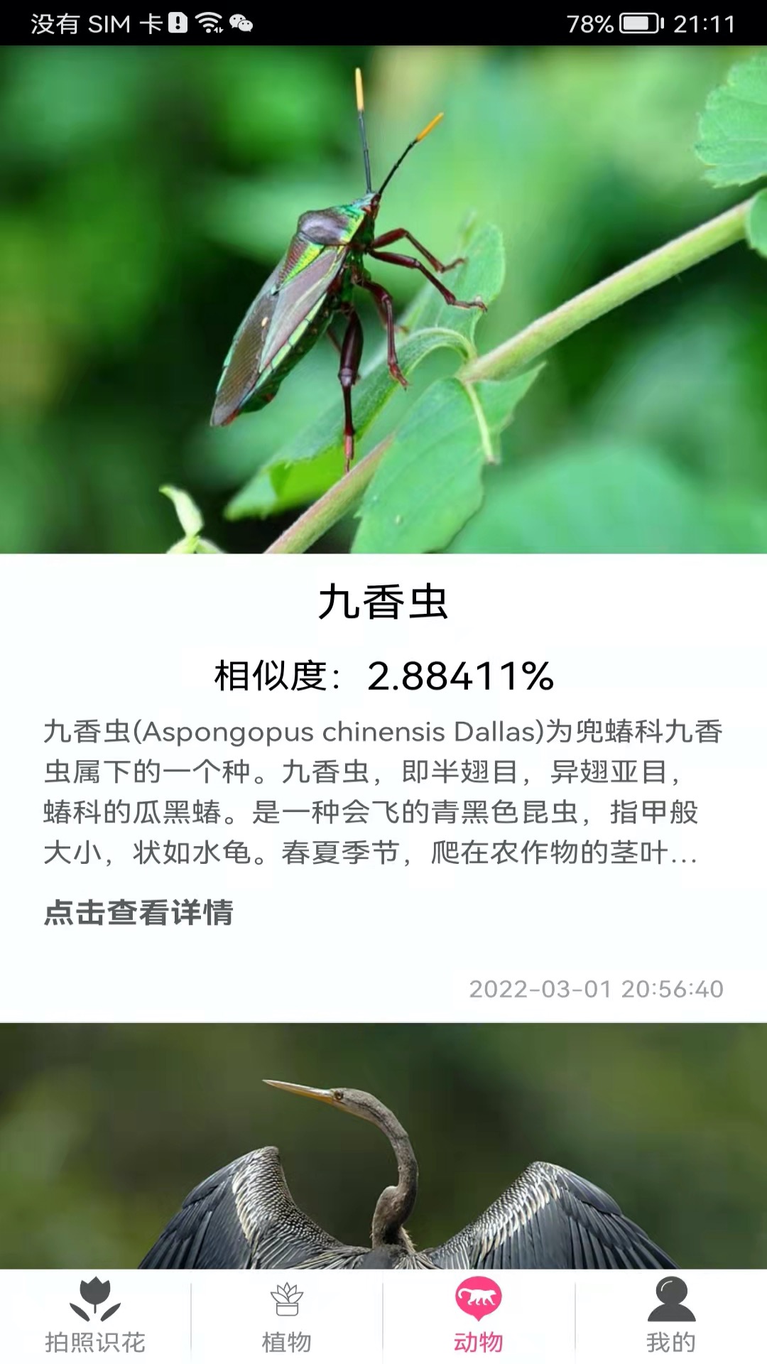 ʶapp°v5.6.6 ׿