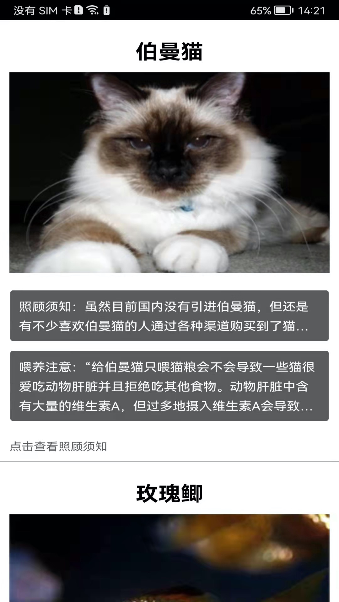 ʶapp°v5.6.6 ׿