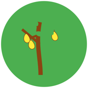 ̸iosӰαװv1.0.3 ƻ
