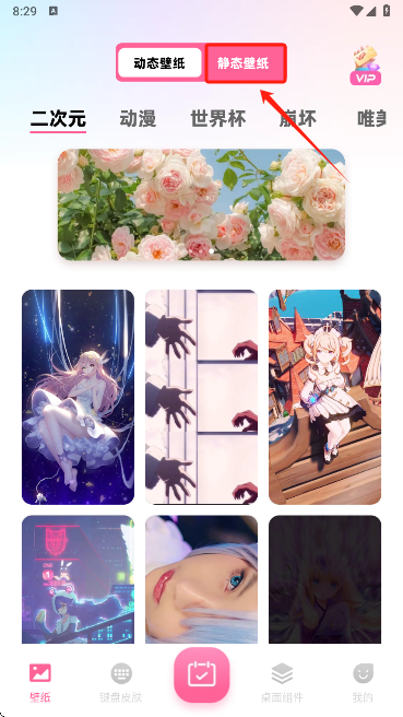 ֽapp°汾
