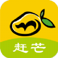 赶芒app下载官方版