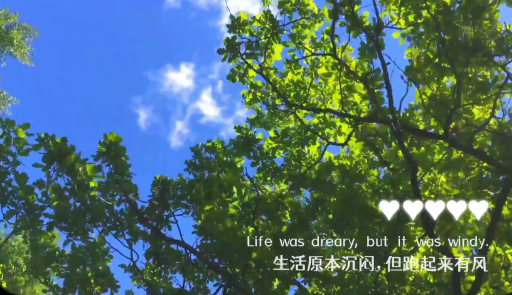è΢app°汾