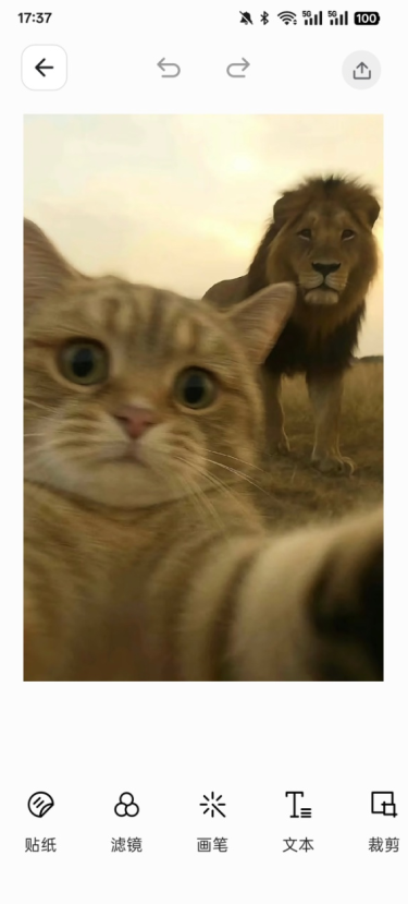 ͼԴٷ