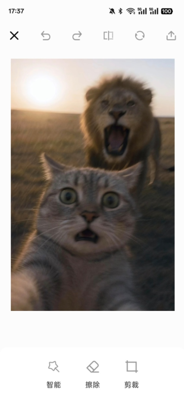 ͼԴٷ