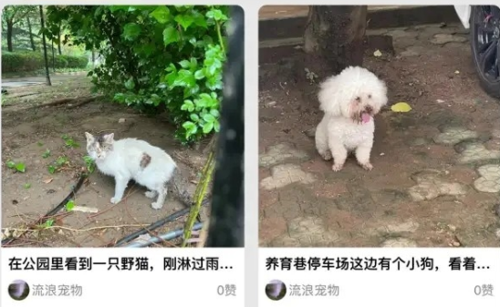 ���˳���app2022���°�