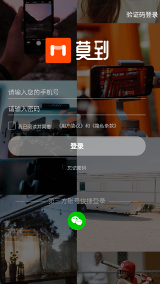 莫到交友下载 莫到交友下载