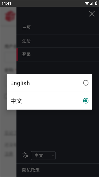 ٴﱨ