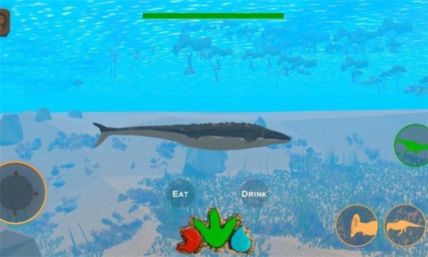 ʱ
