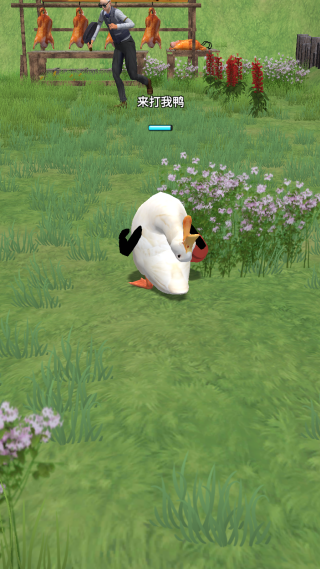长手的鸭子免广告版下载 长手的鸭子免广告版下载