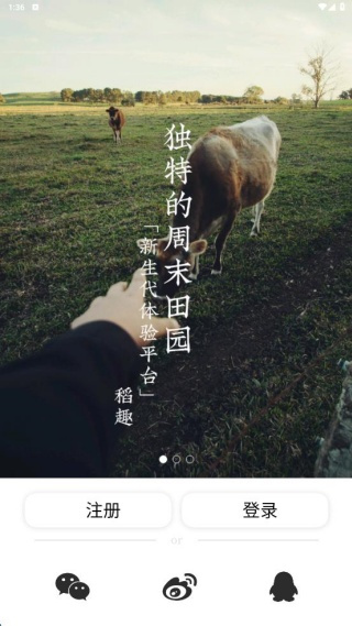 Ȥapp°