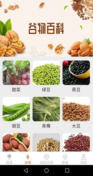 口袋田园赚钱游戏 口袋田园赚钱游戏