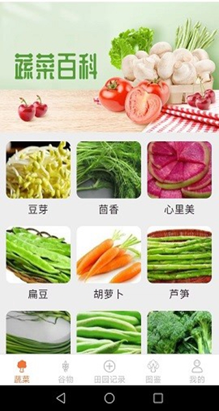 口袋田园赚钱游戏 口袋田园赚钱游戏